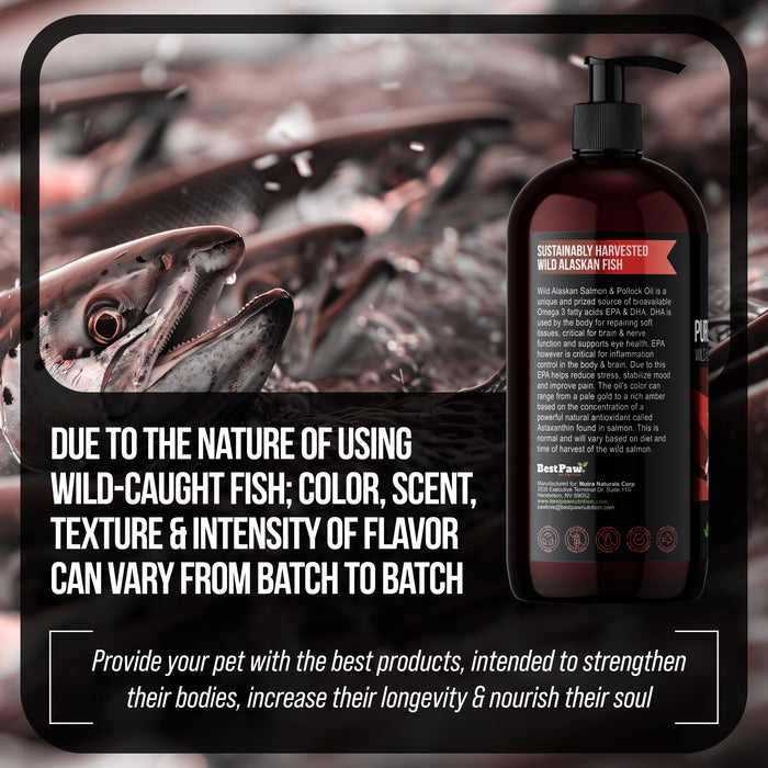 Wild Alaskan Salmon Oil (Transitioning to include Wild Pollock Oil)