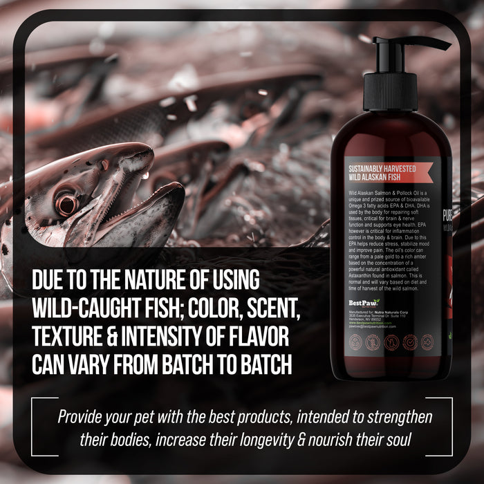Wild Alaskan Salmon Oil (Transitioning to include Wild Pollock Oil)