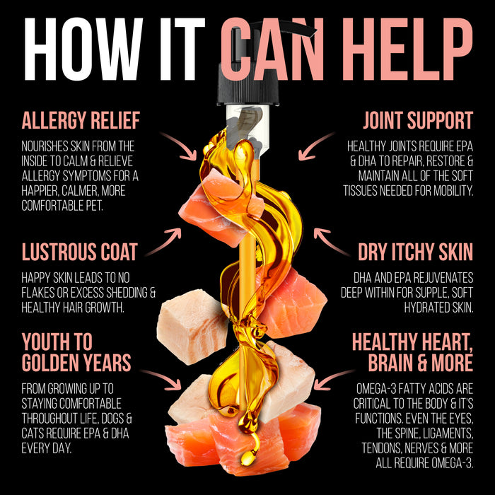 Wild Alaskan Salmon Oil (Transitioning to include Wild Pollock Oil)