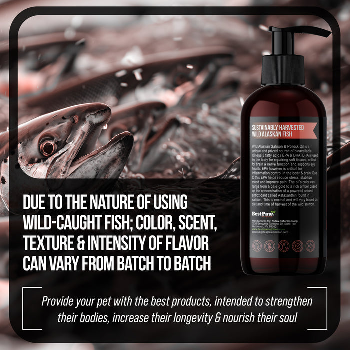 Wild Alaskan Salmon Oil (Transitioning to include Wild Pollock Oil)