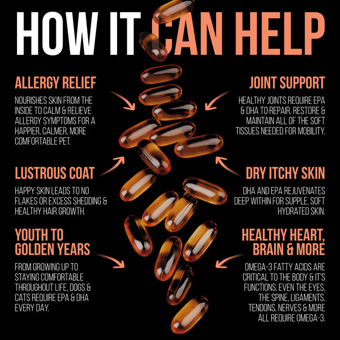 Wild Alaskan Salmon Oil 1000mg Softgels