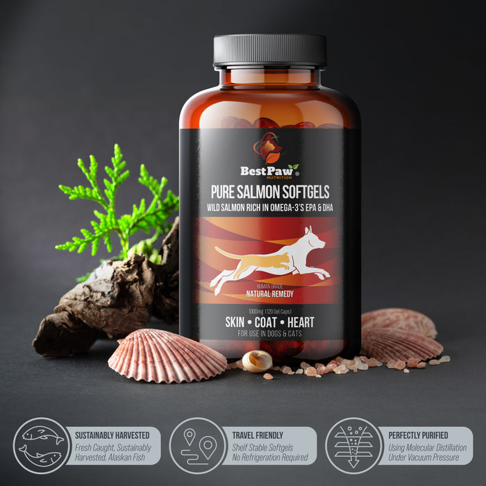 Wild Alaskan Salmon Oil 1000mg Softgels