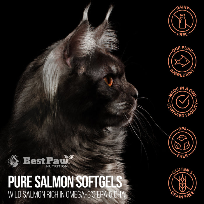 Wild Alaskan Salmon Oil 1000mg Softgels