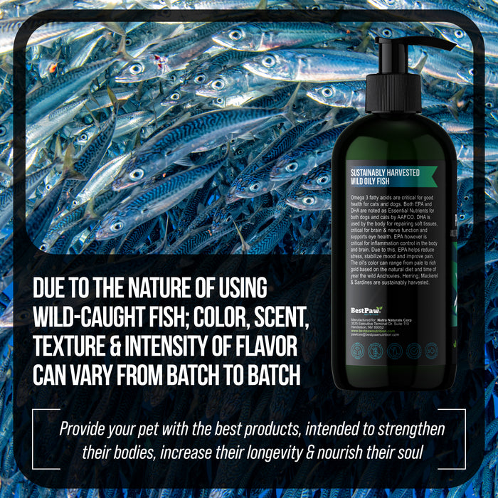Pure Omega 3 Fish Oil (Blend of Anchovy, Herring, Mackerel & Sardine Oils)