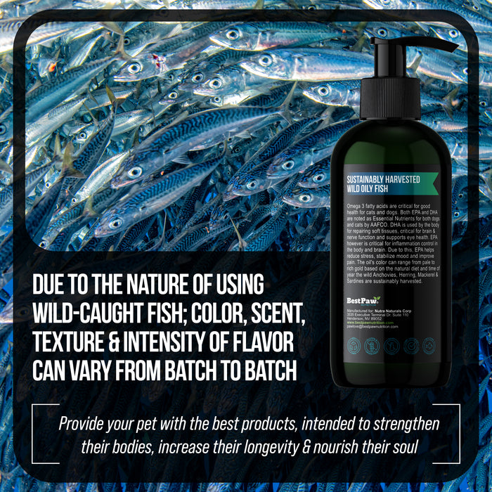 Pure Omega 3 Fish Oil (Blend of Anchovy, Herring, Mackerel & Sardine Oils)