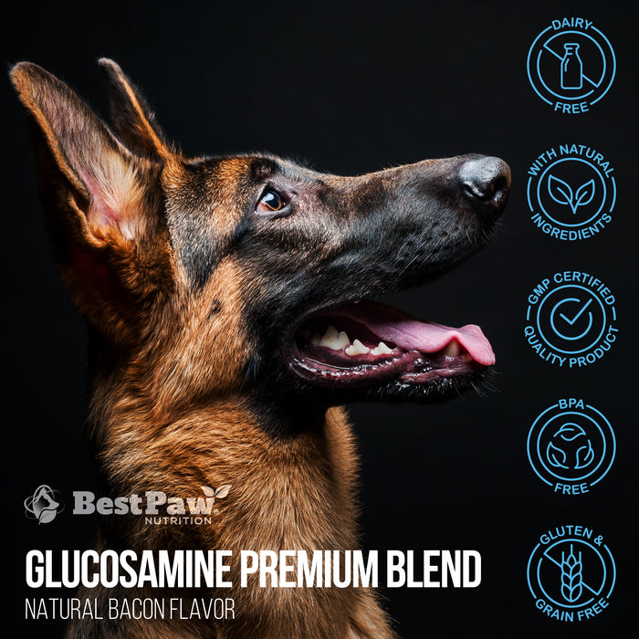 Premium Dream Glucosamine Bacon Flavored