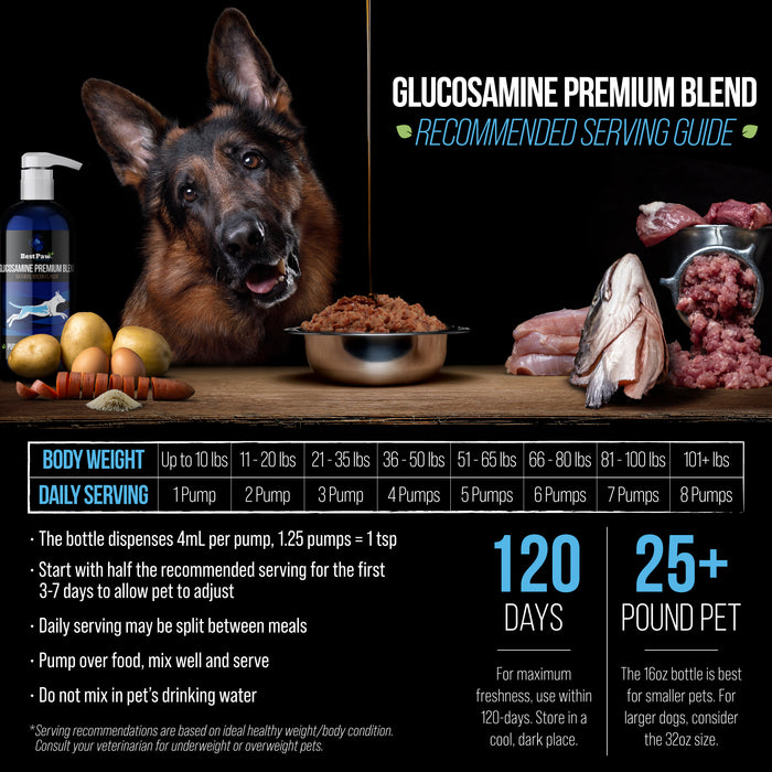 Premium Dream Glucosamine Bacon Flavored