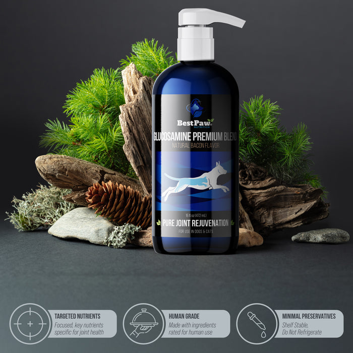 Premium Dream Glucosamine Bacon Flavored