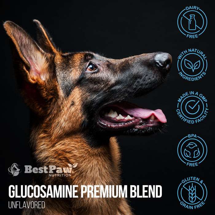 Premium Dream Glucosamine Unflavored