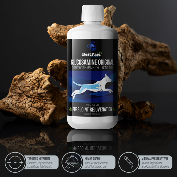 Dog Dream Glucosamine Original Formula