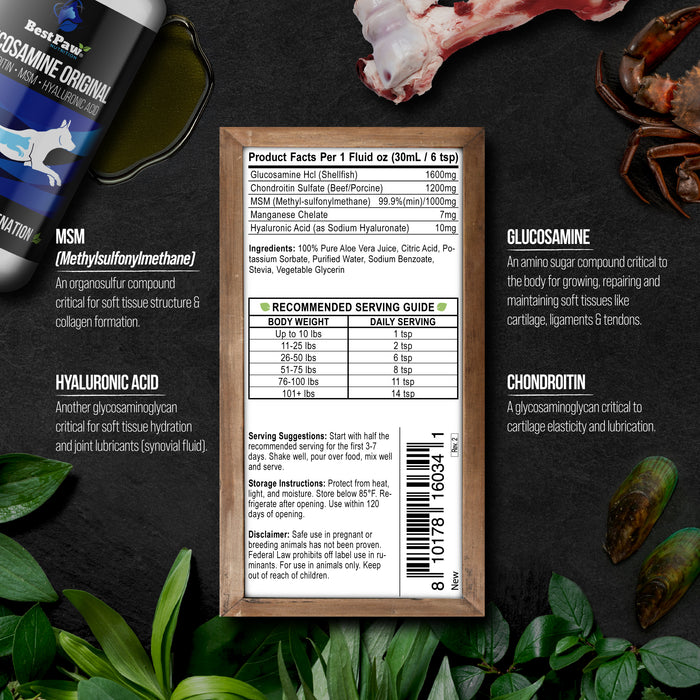 Dog Dream Glucosamine Original Formula