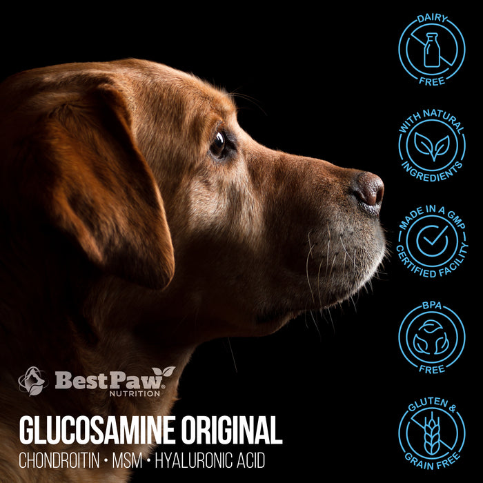 Dog Dream Glucosamine Original Formula