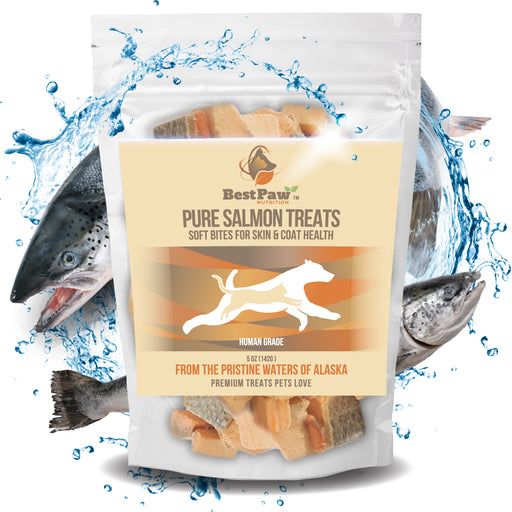 Freeze Dried Wild Alaskan Salmon Treats