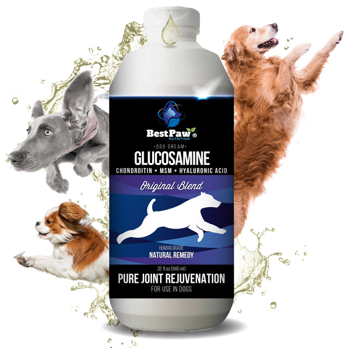 Dog Dream Glucosamine Original Formula