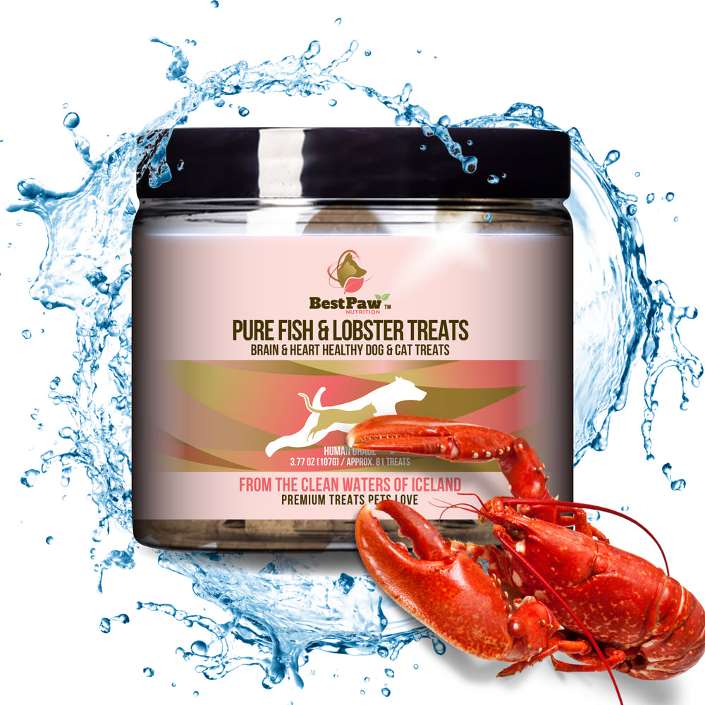 Pure Whitefish & Lobster + Kelp Treat Chips