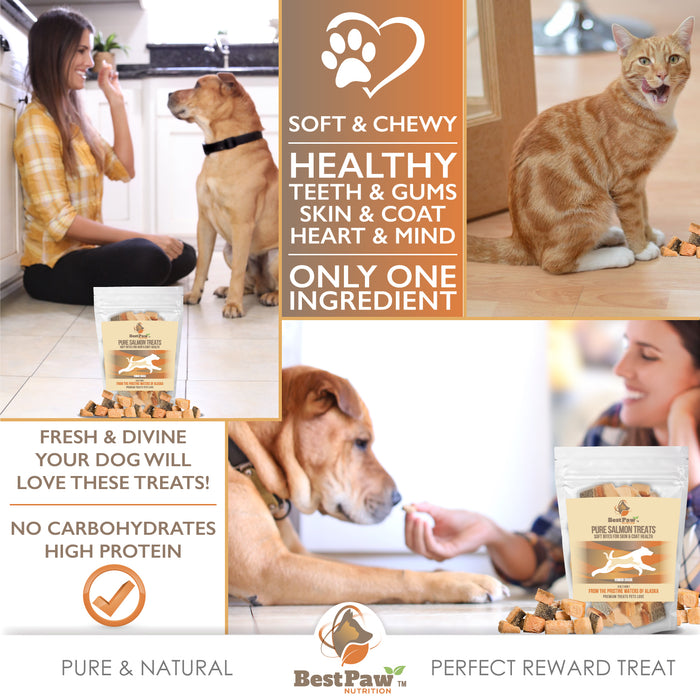 Freeze Dried Wild Alaskan Salmon Treats