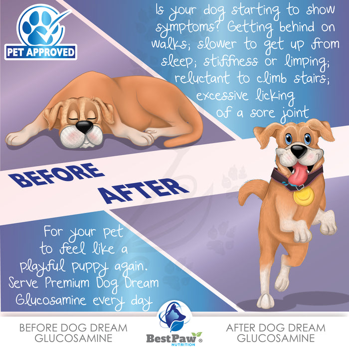 Dog Dream Glucosamine Original Formula