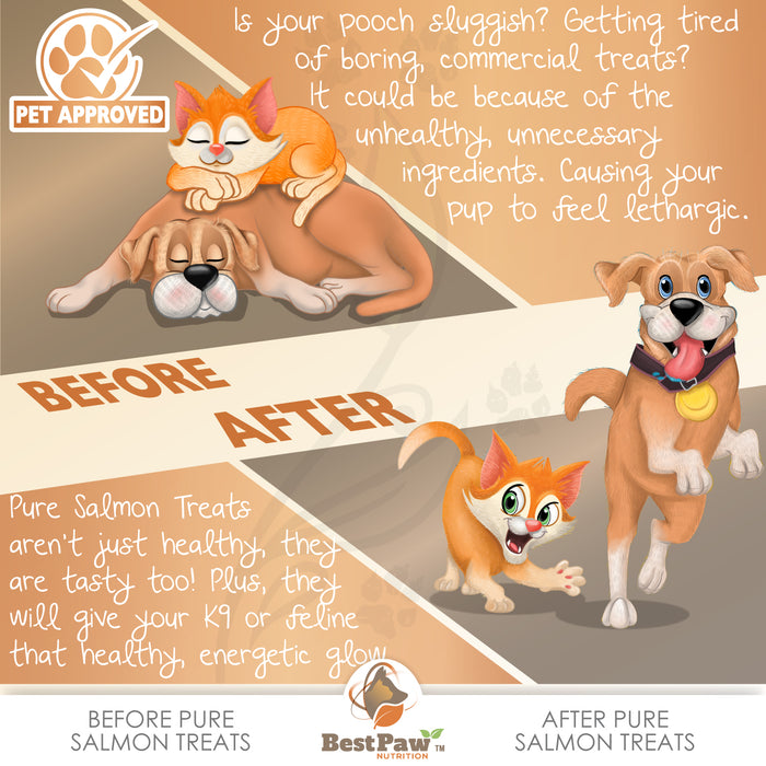 Freeze Dried Wild Alaskan Salmon Treats